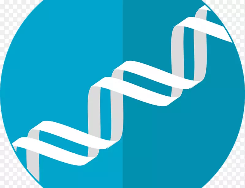 �Ŵ�ѧ���������Ŵ�����-������