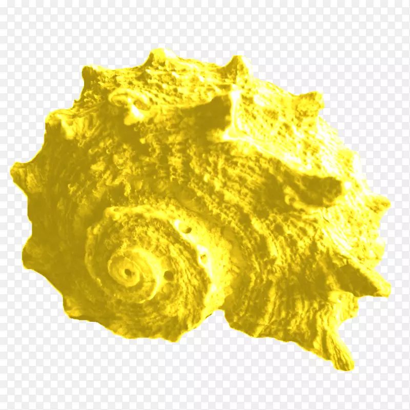 ֥�Ӹ���ӽ�Ŀ��������պ�̲-������