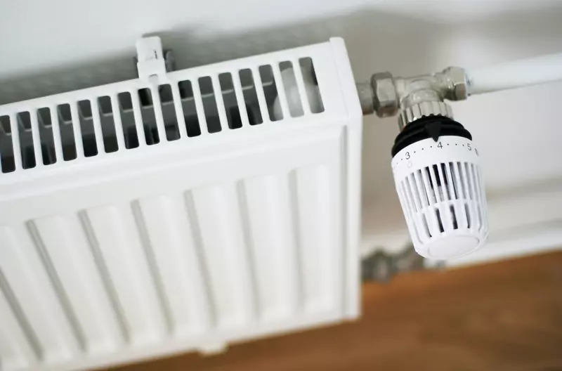 ů��ɢ�������޼�³��ȴ���ذ����ɢ����-������