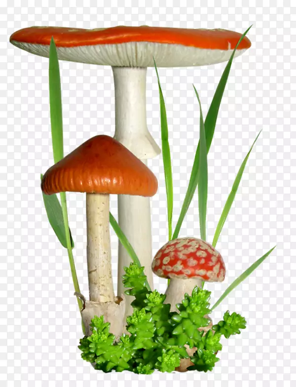 Ģ������������-Ģ��-������