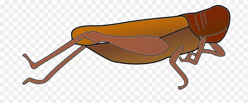 �滭��������Ʒ��������ǿ�����дʵ-������