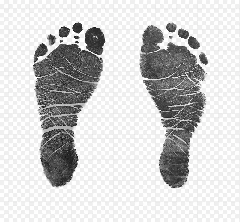 Ьָ��������ͼ��-2018-������