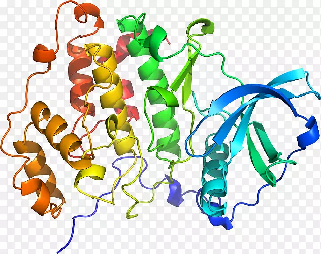 �������л�����������-apo-������