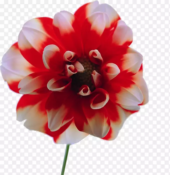 �л�����������-������