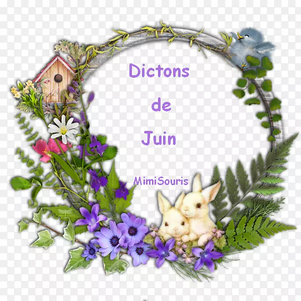 pngͼƬͼ��gif��ͼ���Ĳ���-brouillard-������