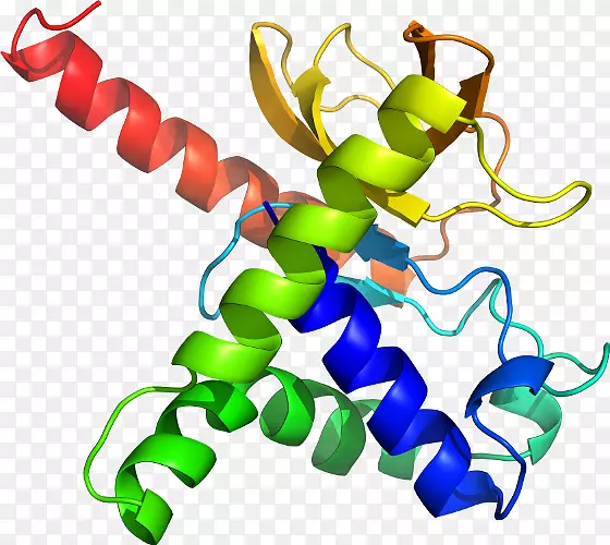 ������ֲ�ﾥ�߶���-apo-������