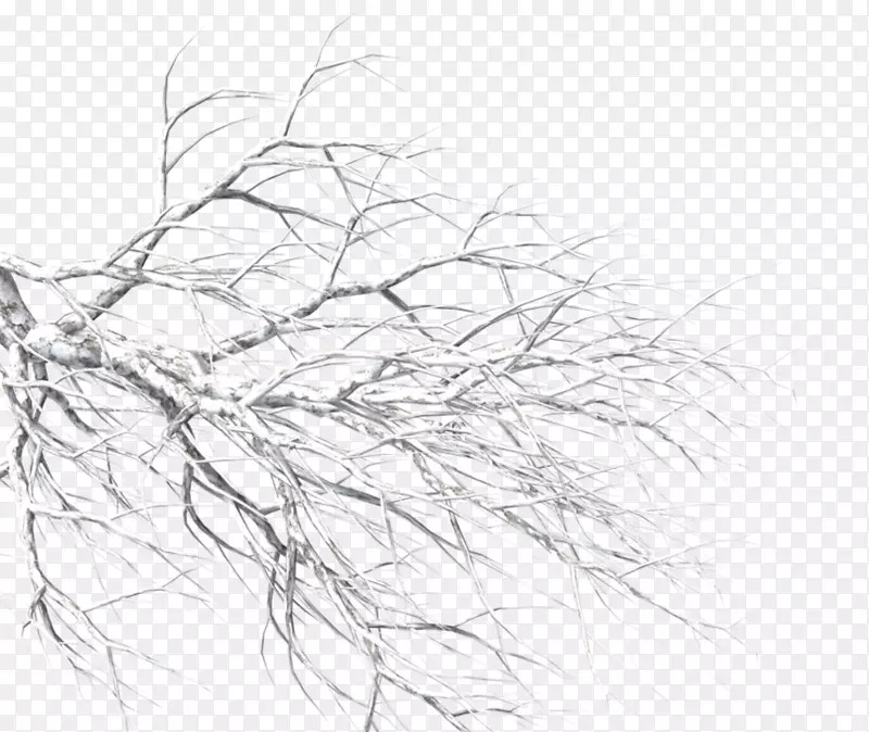 pngͼƬѩ֦ͼ����-ѩ-������