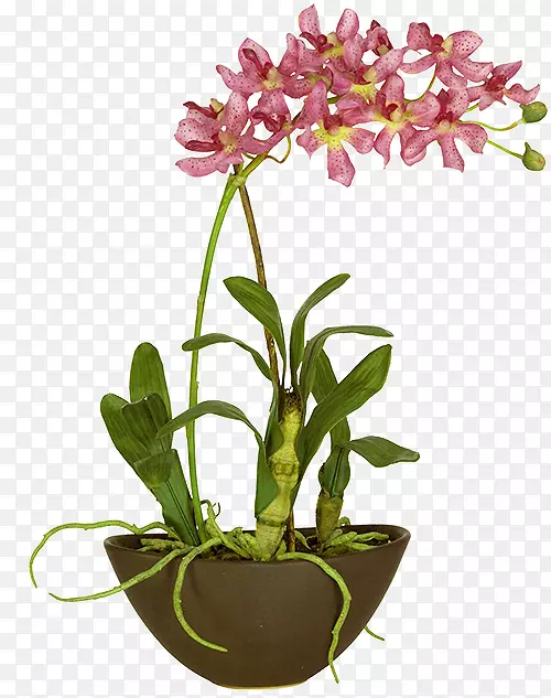 �������pngͼƬͼ��ֲ��.����-������