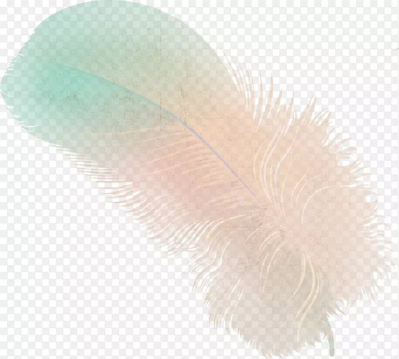 ��ë��˸��AJ��ë-������