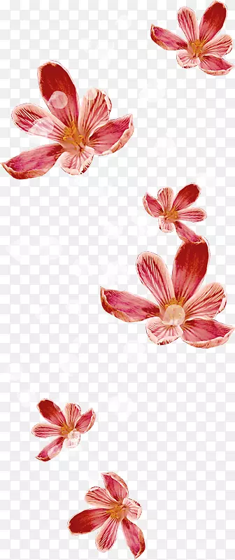 png����ͼ���Ĥ��Ӱ����-������