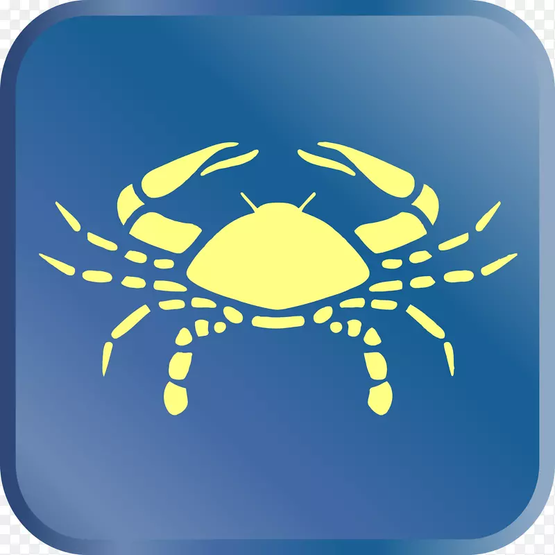 ��֢ռ��������ռ��ѧ����-������