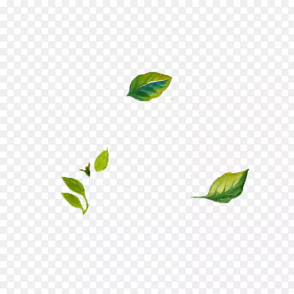 Ҷ���pngͼƬͼ��adobe Photoshop.��Ҷ-������