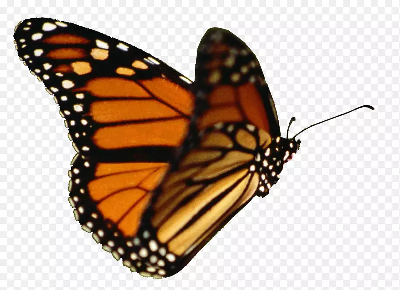 �������������������-������