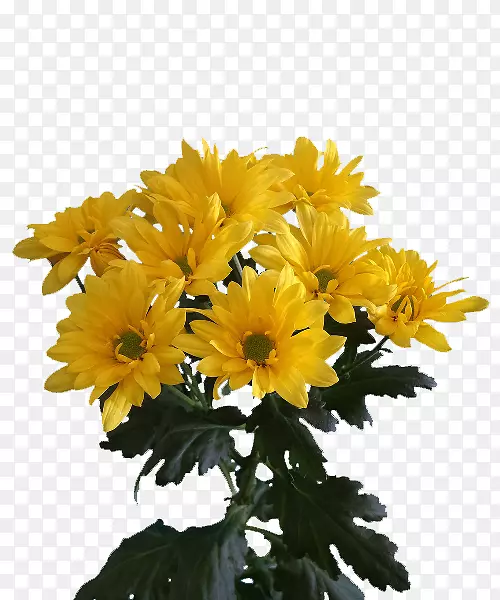 �ջ��л�-������