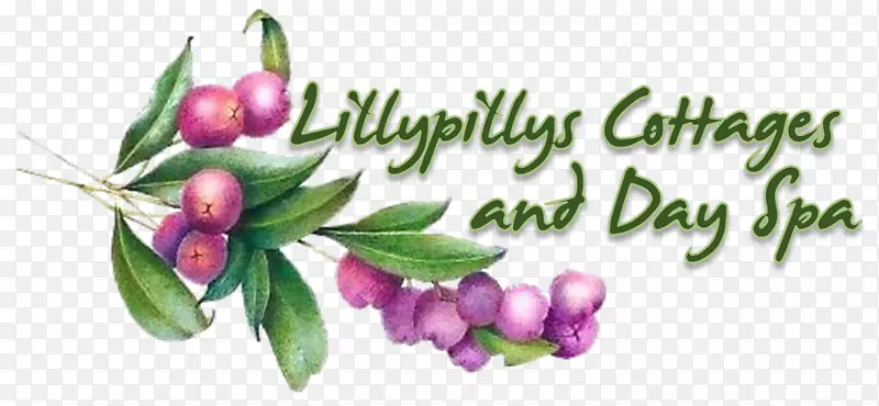 �л�ˮ������ֲ������-���ģ��-������