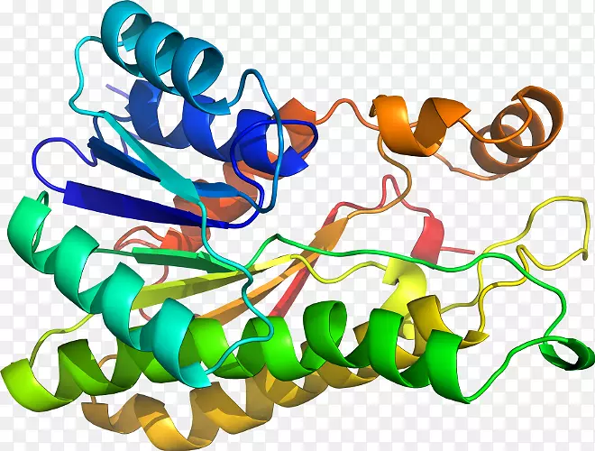 �������л�����������.ľ����ͼ-������