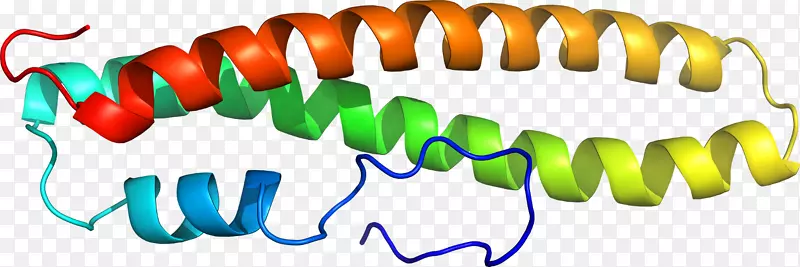 �������߲�Ʒ��ɫS.A��-A1A-������