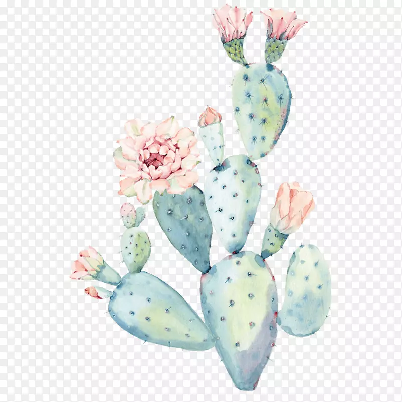 ������ˮ�ʻ��۲�����ˮ�ʻ�ֲ��-������