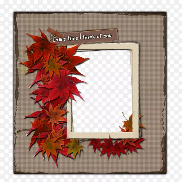 ����ͼƬ����ҲҪͨ���ռ���ǩ-��Ҷ��-������