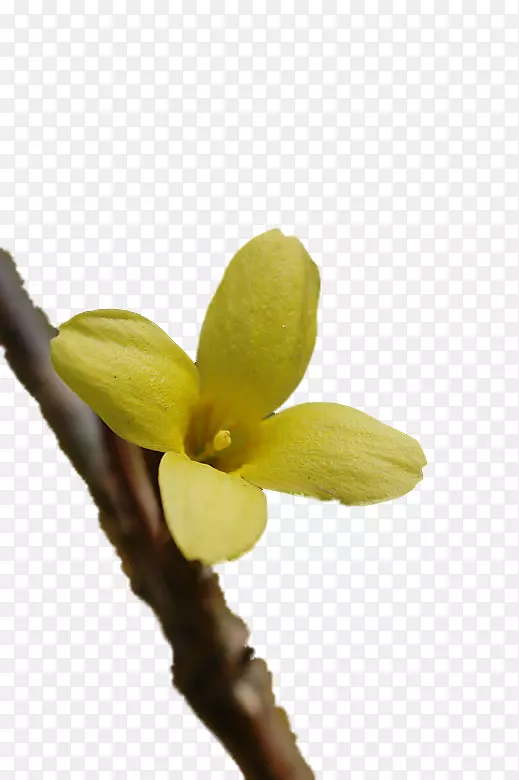 ����Naver����pngͼƬѿֲ�ﾥ-����-������