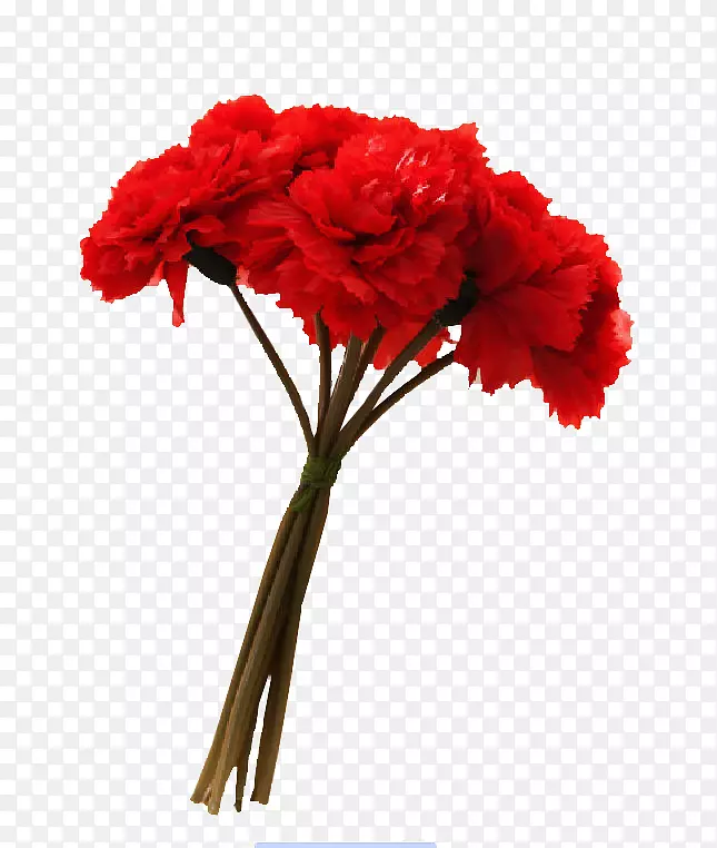 ����ܰ�л���ƻ���-������