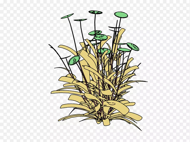 ������ƻ�����ֲ�ﾥ����԰����-������