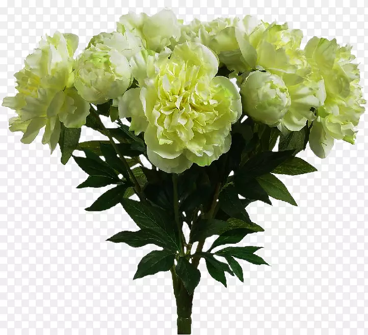 �л���������ƣ�������������Photoshop-����-������