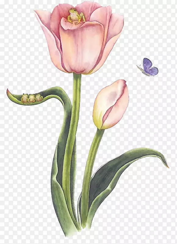 ������˲��Ͳ�ͼ����΢��-�ɰ�֮��-������