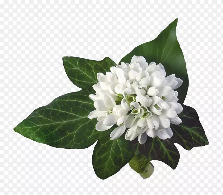 �����ֽͼ��gif����pngͼƬ.��������͸��-������