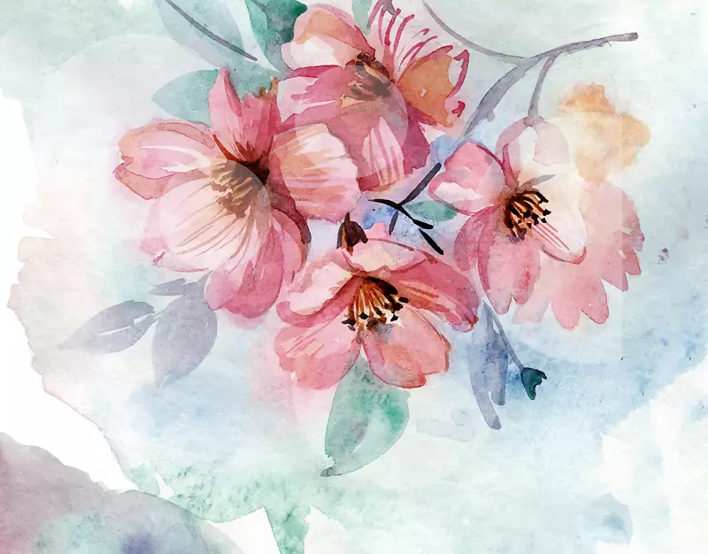 ˮ�ʻ���������ǽֽˮ�ʻ�Ҷ-������