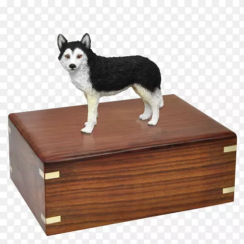 �Ĵ���������Ȯ���ֲ�����Ȯ���߾�����Ȯ-��ɫ��ʿ��צ��-������