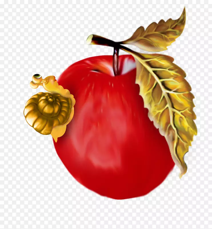 pngͼƬͼ���＾���Ĳ��ͼ�����-�＾-������