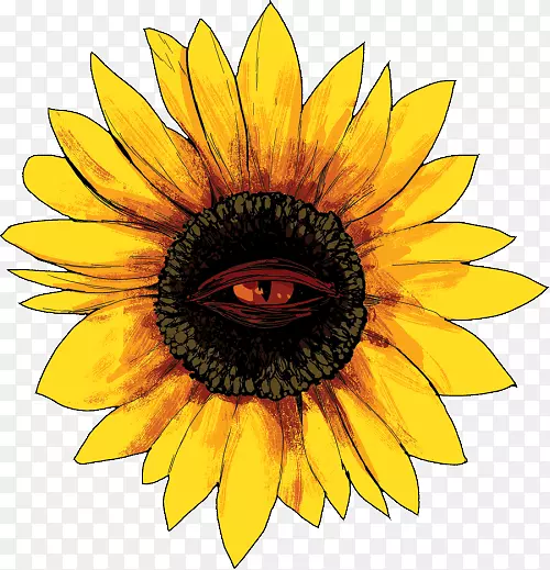 ��ֽ-������