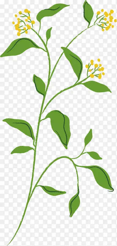 �ƴ���͸��ͼ��-������