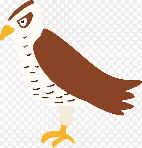 ��๼�������ͼ-������