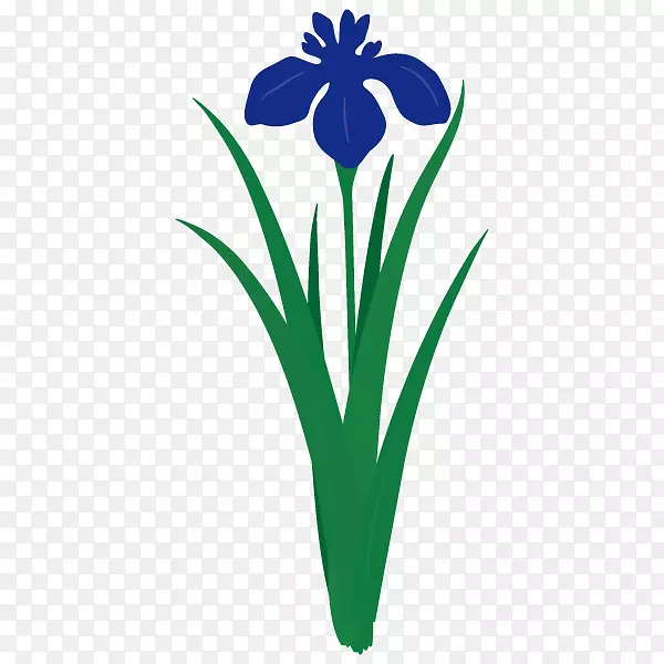 ����ֲ�ﾥ�л�Ҷ������-������