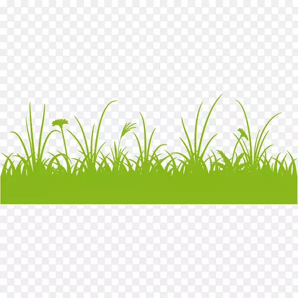 ��ͼͼ�μ��������ݲ廭-������