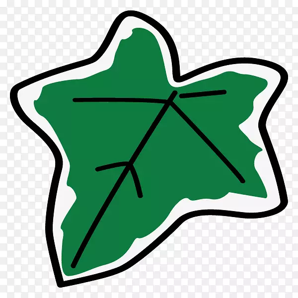 ������Ҷ��������ֲ��-������