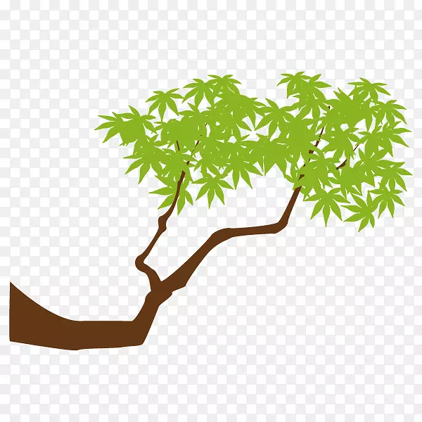 ������Ҷֲ�ﾥ���迪��ֲ��-������