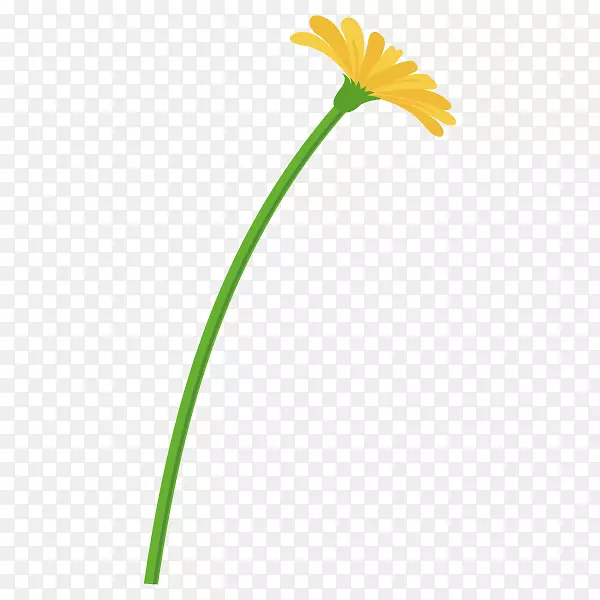 Ҷֲ�ﾥ����ֲ��-������