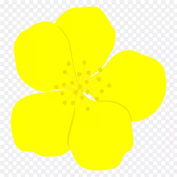 �����Գ�Ҷ��ֲ�ﾥ-������