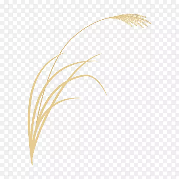 ���ݲ�ͼ���-������