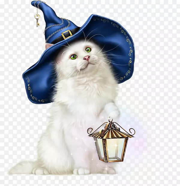 è�����������ͼ���Ĳ���-è-������