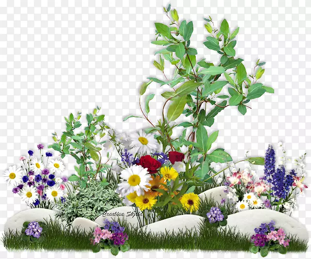 ����ڲʵ�ͼ��pngͼƬ-������