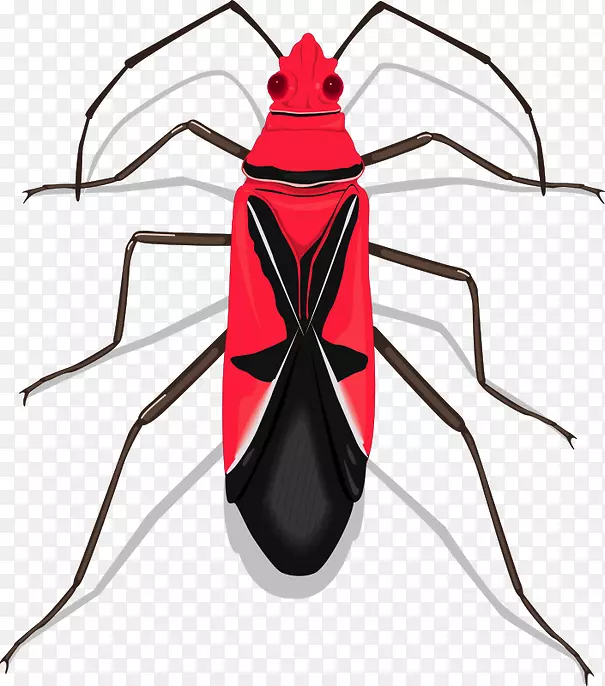 ����ͼ�μ�����ͼƬ����-������