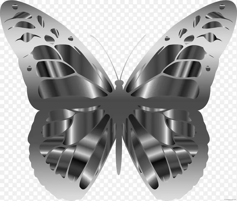 �����������濨�ɣ�ŦԼ������ˢ�����-����-������