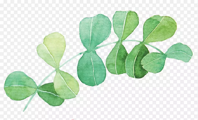 ˮ�ʻ���ӰҶpngͼƬͼ��.ͯ������-������