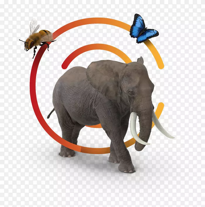 ӡ���������½���������-�ʻ�����-������