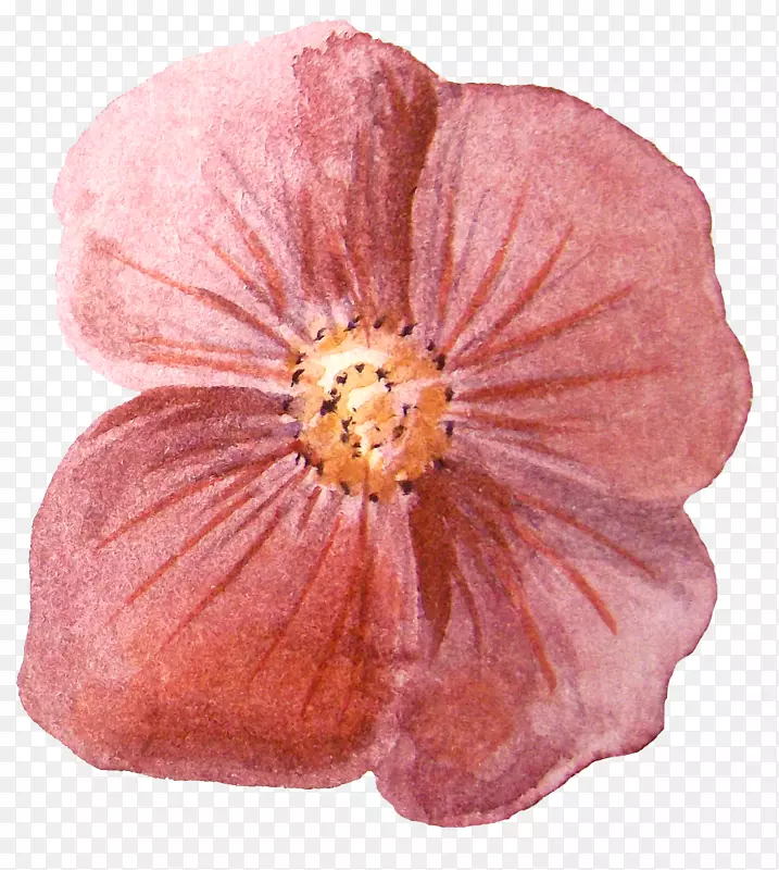 ˮ�ʻ�pngͼƬͼ������.���鱳��-������