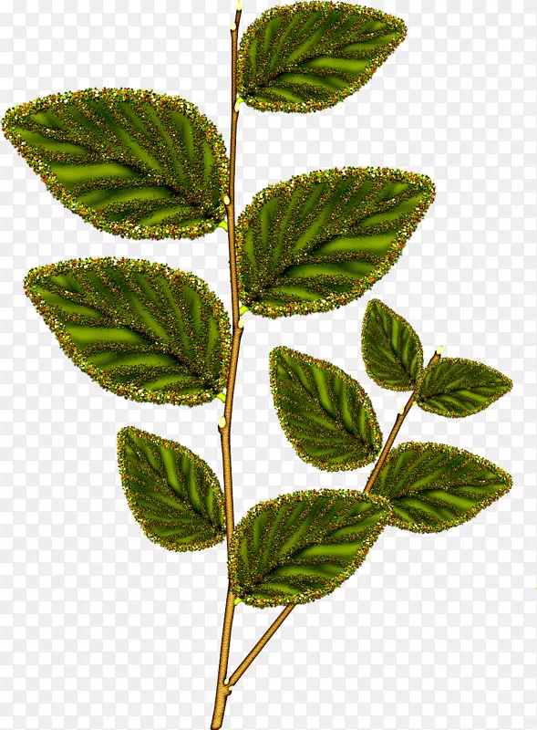 ͼƬNaver����pngͼƬͼ��.Photoshop-������